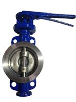 對(duì)夾硬密封蝶閥